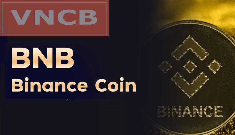 Đồng BNB là gì? Có nên đầu tư Binance Coin không?