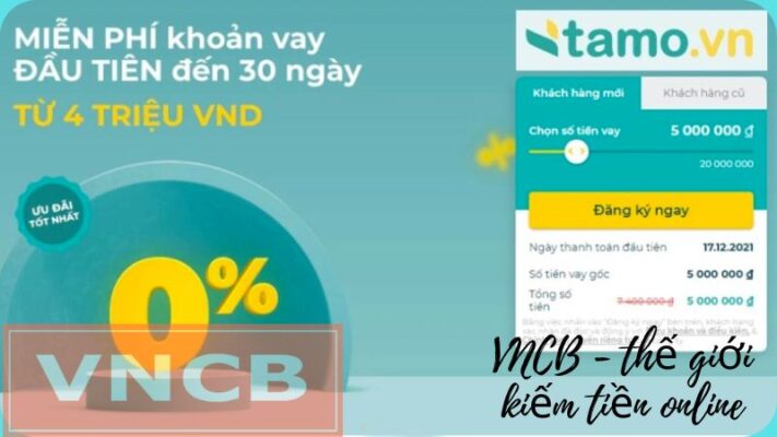 Hướng dẫn vay tiền Tamo nhanh chóng trong năm